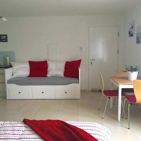 Charming Studio Near Rotsee Lucerne Kitchen/Wifi/Wasching Machine 外观 照片