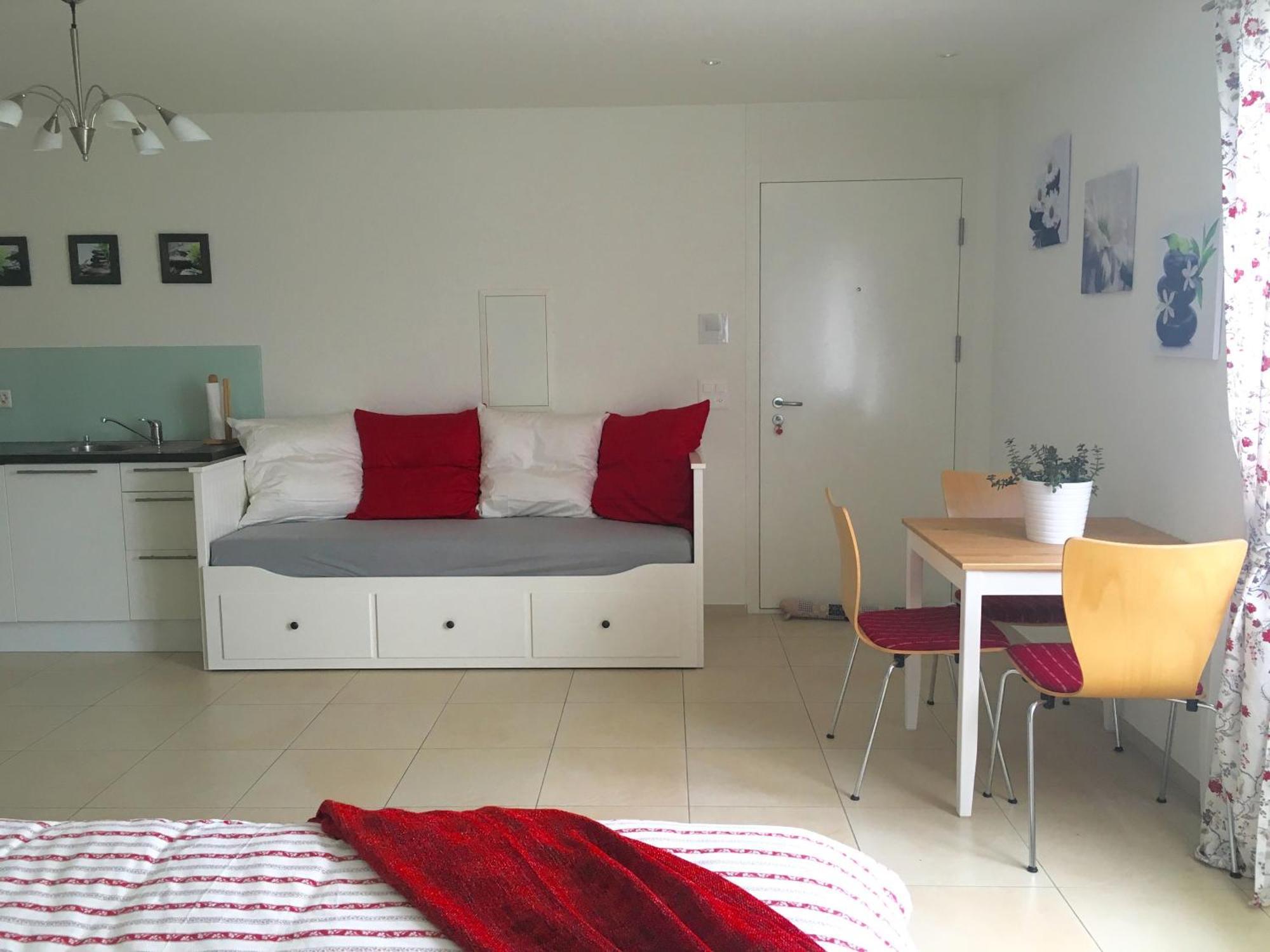 Charming Studio Near Rotsee Lucerne Kitchen/Wifi/Wasching Machine 外观 照片